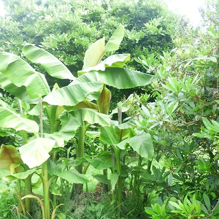 Le Clos D'etretat 3*