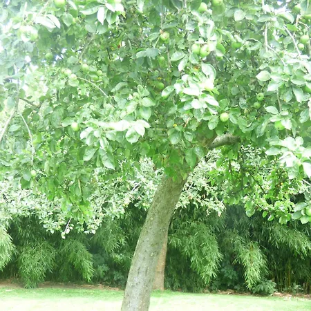 Nocleg ze śniadaniem Le Clos D'etretat 3*